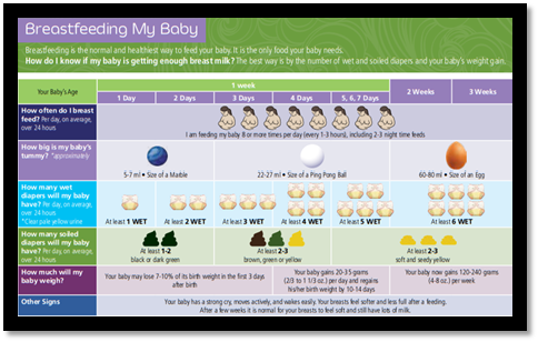 Pregnancy Passport Handout Image.png