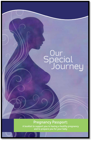 Pregnancy Passport image.png