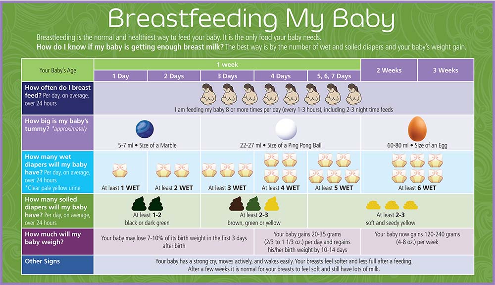 baby feeding guide