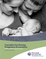 cannabis-in-pregnancy-pratice-resource-feb-2020.jpg
